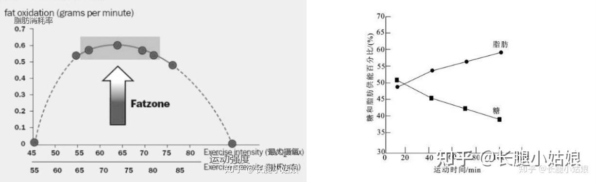 家用跑步机推荐_家用跑步机选购指南_家用别墅电梯10大品牌